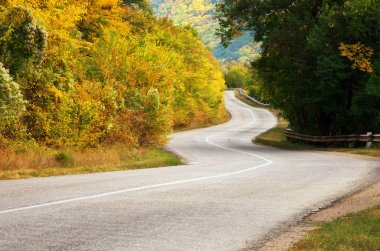 Sonbahar yol asfalt.