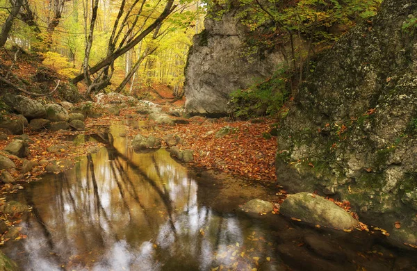 Outono paisagem natureza . — Fotografia de Stock