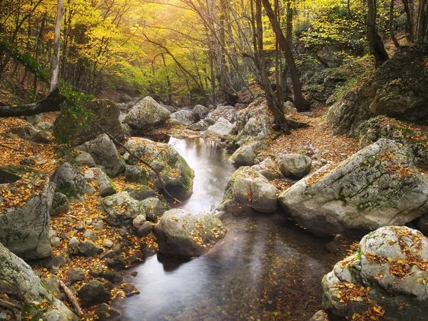 Herfst landschap natuur. — Stockfoto