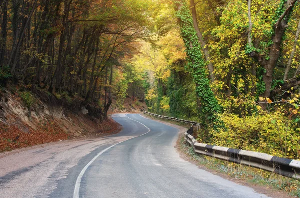 Road in autumn wood. — Stock Photo, Image