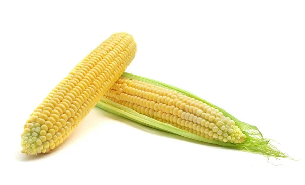 Isolated corn. Food design. — Stock Photo, Image