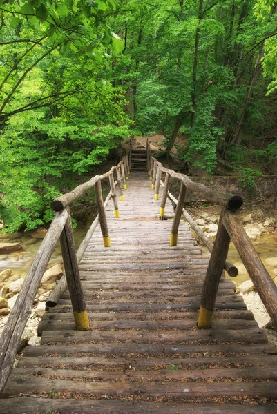 Ponte sul fiume — Foto Stock