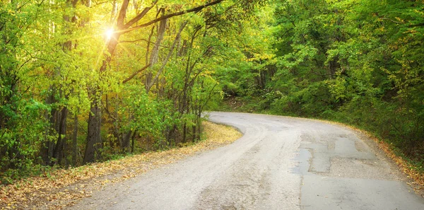 Autumn road and sunny rays — Stock Photo, Image
