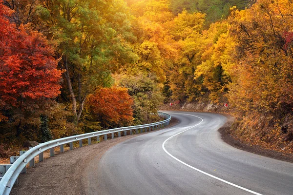 Jesienna droga i promienie słoneczne. — Zdjęcie stockowe