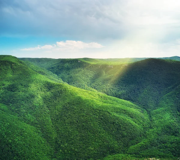 Greem hills of mountain forests. — Stock Photo, Image