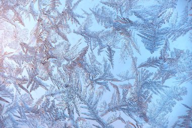 Buz mavisi desen. Gerçek kar tanelerinin makro fotoğrafı. Güzel bir süs, yapı ve zarif bir şekil. Tasarım elementi.