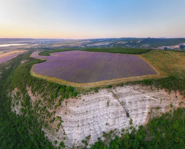 Aerial Meadow Dig Panorama Lavender Sunset Nature Composition — Stock Photo, Image