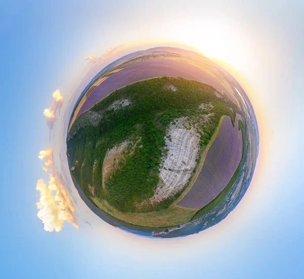 Pradera 360 Grados Lavanda Panorama Composición Naturaleza — Foto de Stock