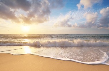 Gün batımında kumsalda. Doğa bileşimi.