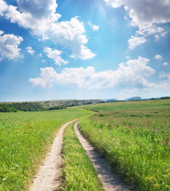 Yol şeridi ve derin mavi gökyüzü. Yeşil çayır ve bahar çiçekleri.