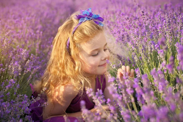 Cute little girl smell the lavender flowers in meadow. Portrait and nature composition.