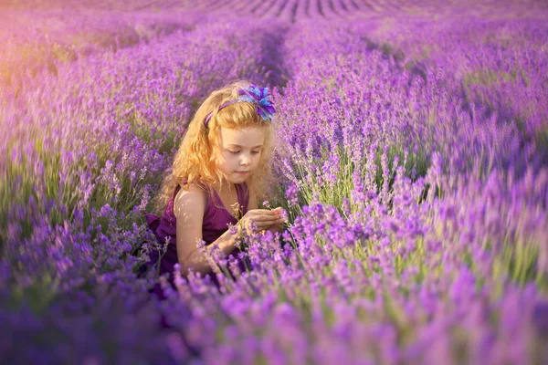 Cute little girl smell the lavender flowers in meadow. Portrait and nature composition.