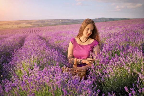 Nettes Mädchen Sammelt Lavendel Auf Der Wiese Bei Sonnenuntergang Natur — Stockfoto