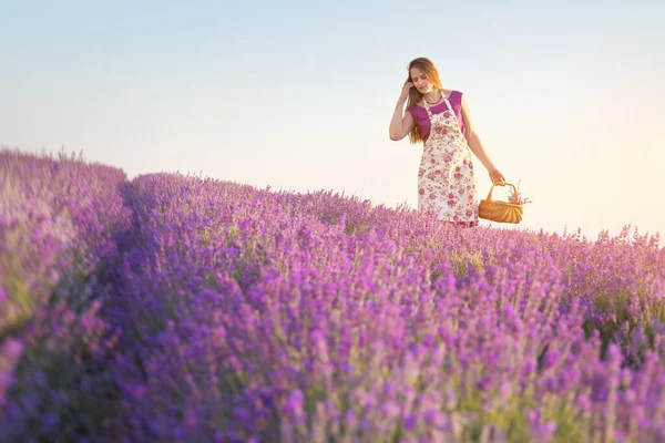 Nettes Mädchen Sammelt Lavendel Auf Der Wiese Bei Sonnenuntergang Natur — Stockfoto