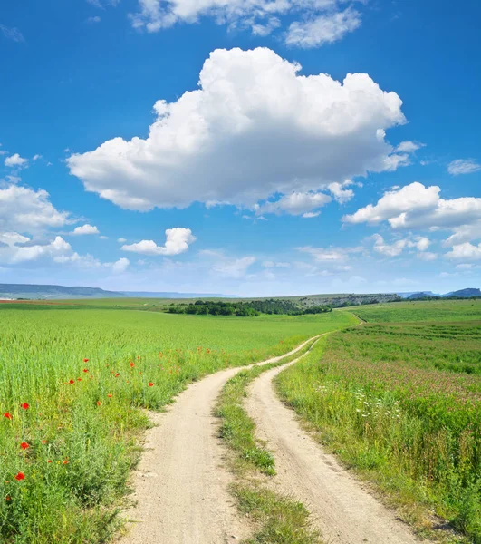 Carretera Cielo Azul Profundo Pradera Verde Flores Primavera —  Fotos de Stock