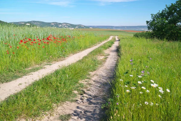 道路車線と深い青空 緑の草原と春の花 — ストック写真