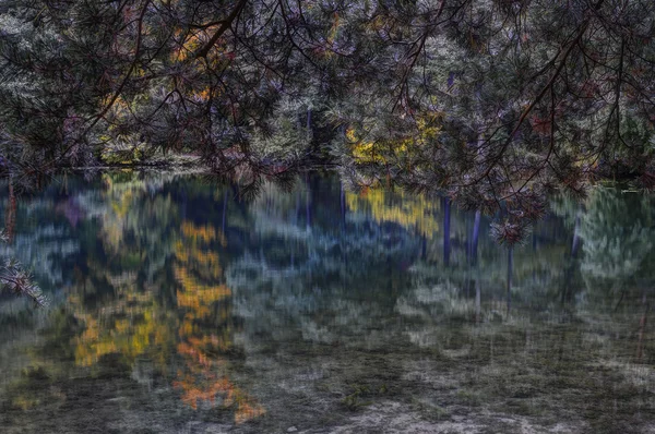 Podzimní les, odraz na jezeře — Stock fotografie