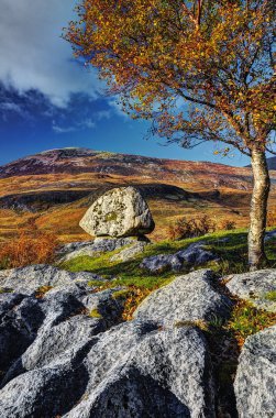 Elgol peninsula, midday clipart