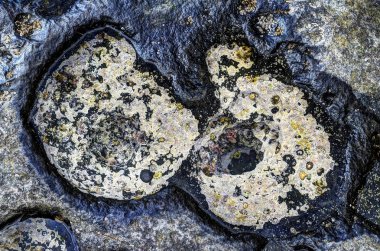 Muckross kafa rock katmanı