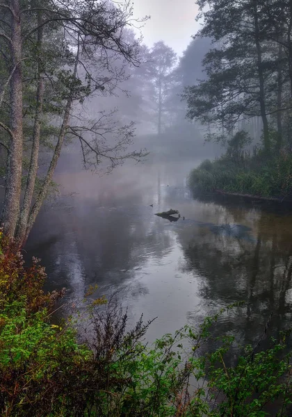 Podzimní mlhy, východ slunce — Stock fotografie