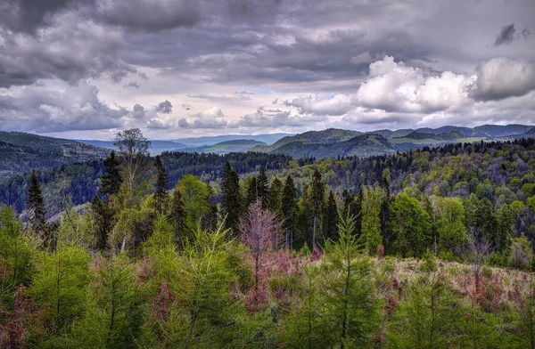 Parc national des Tatra, Slovaquie — Photo