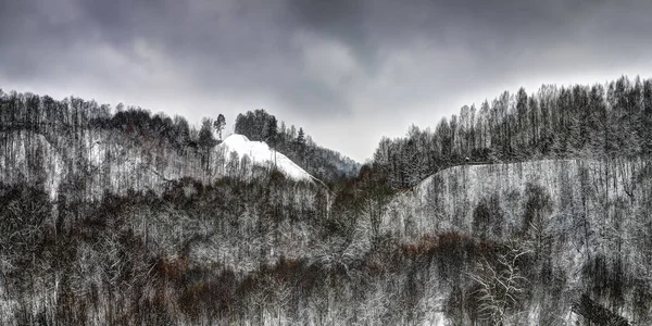 Vinterlandskap i Litauen — Stockfoto