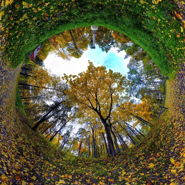 Entspannung im Wald — Stockfoto