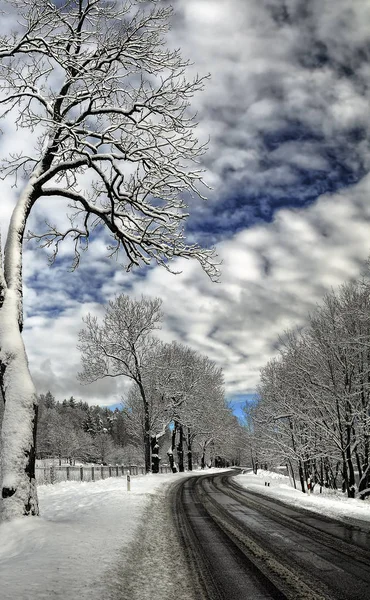 冬季景观 — 图库照片