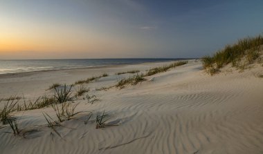 Baltık Denizi beach