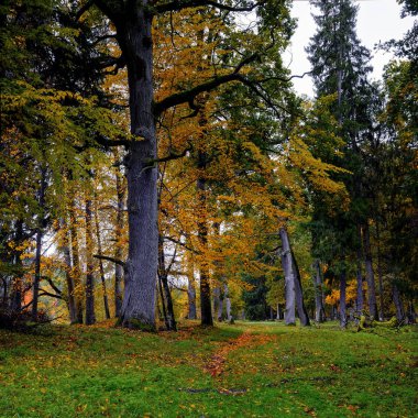 Nemunas Bölgesel Parkı Döngüledi