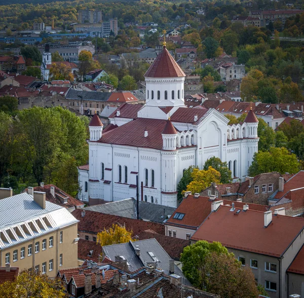 Domkirken i Theotokos i Vilnius - Stock-foto