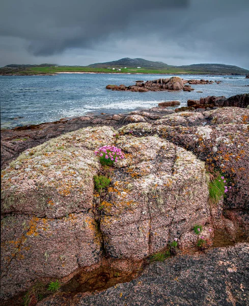 红色花岗岩岩石的环岛世界 克鲁斯岛 爱尔兰语 Chruit 是爱尔兰多纳加尔县罗斯地区的一个有人居住的小岛 — 图库照片