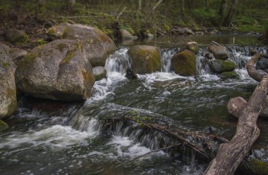 Saide nehrinde bahar. Saide Bilişsel Pisti, Vilnius İlçesi, Litvanya.