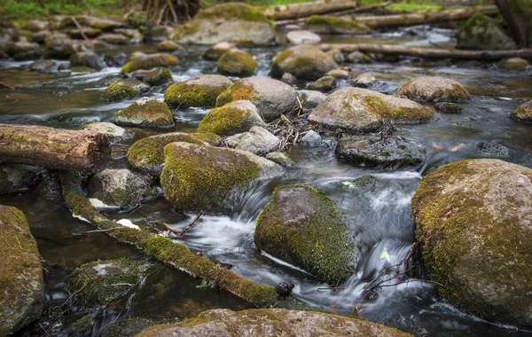 Malá Řeka Saide Mechem Pokrytý Balvan Vodní Potok Saide Cognitive — Stock fotografie