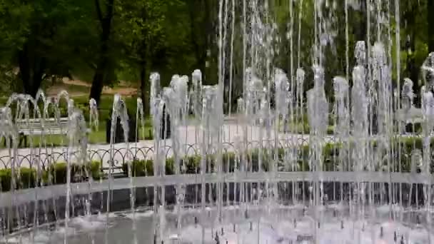 リトアニアのヴィリニュスにあるベルナルダン公共公園の噴水 水の上にスプラッシュ — ストック動画