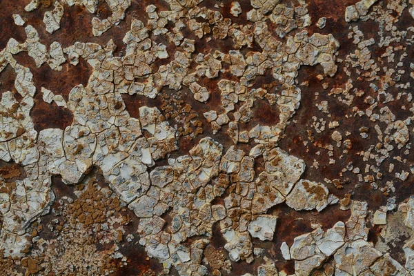 Background texture of Rusted steel — Stock Photo, Image