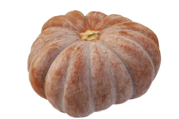 Closed Nutmeg Pumpkin Closeup Isolated White Background — 스톡 사진