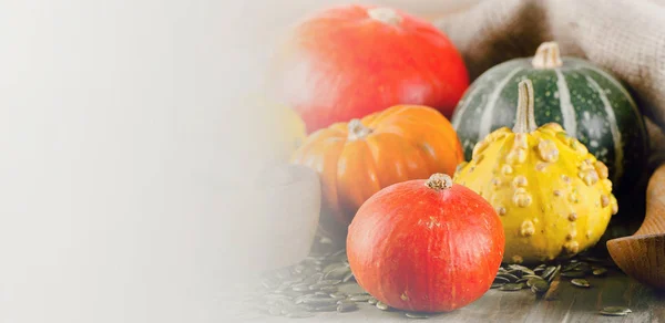 Calabazas mixtas sobre fondo de madera . —  Fotos de Stock