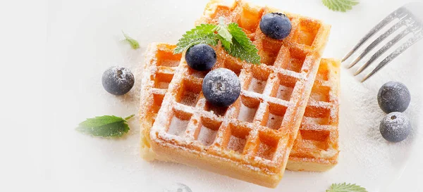 Waffles with fresh blueberries and mint — Stock Photo, Image