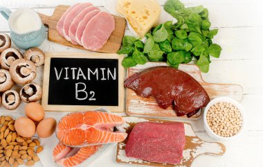 Gıdalar Vitamin B2 içinde en yüksek