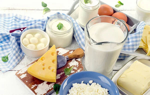 Reihe frischer Milchprodukte — Stockfoto
