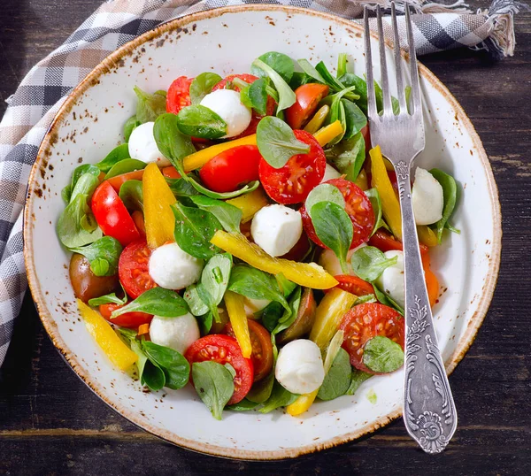 Ensalada con mozzarella —  Fotos de Stock