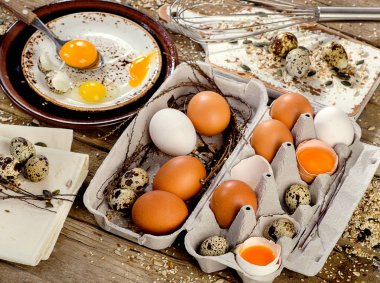 tavuk ve Bıldırcın yumurta