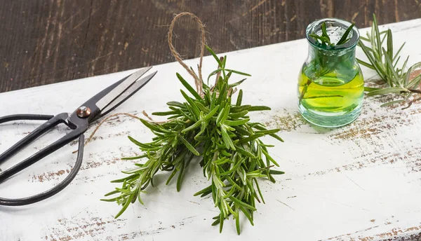 Fresh Rosemary  and oil — Stock Photo, Image
