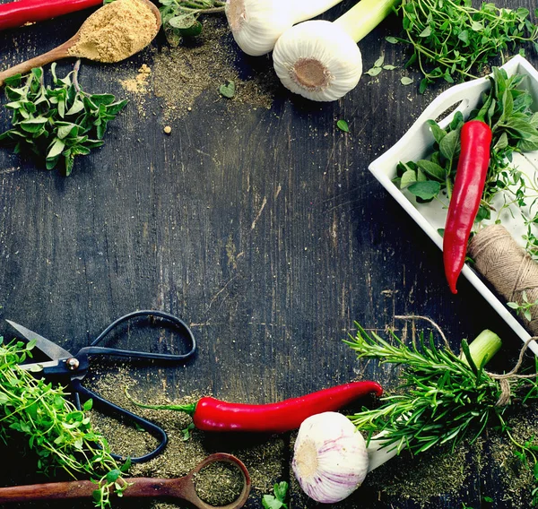Fresh herbs and  spices — Stock Photo, Image