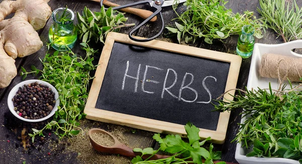 Fresh Herbs on a wooden background — Stock Photo, Image