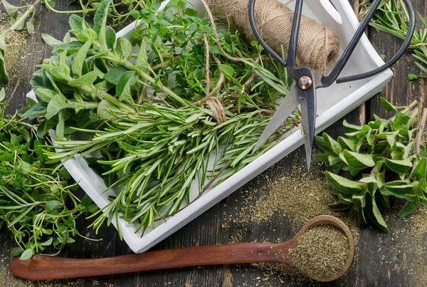 Frische grüne Kräuter — Stockfoto