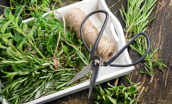 Fresh herbs on wooden table — Stock Photo, Image