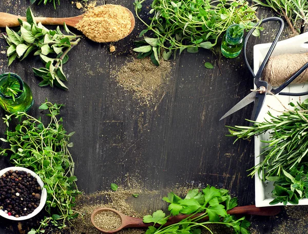 Herbes et épices sur fond de bois — Photo