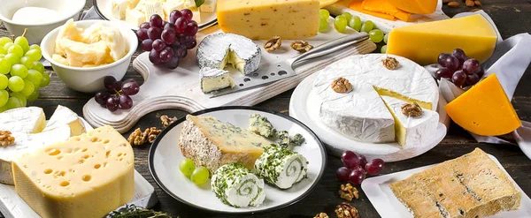 Різні види сирів — стокове фото